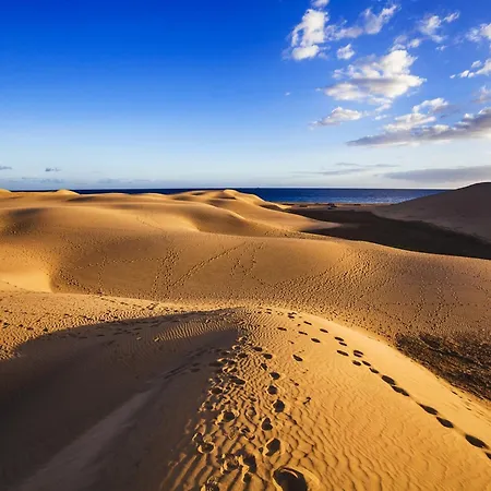 In Gran Canaria Near Maspalomas Dunes * San Bartolomé