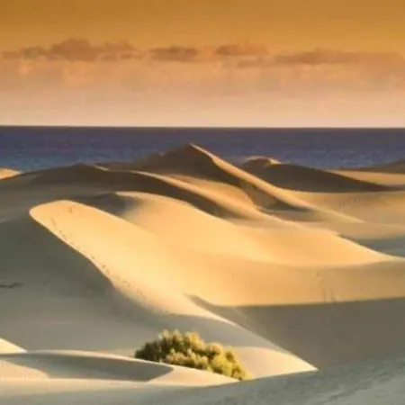 Lägenhet In Gran Canaria Near Maspalomas Dunes San Bartolomé