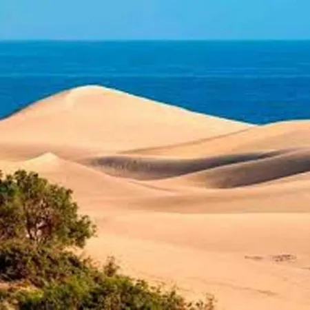 In Gran Canaria Near Maspalomas Dunes * San Bartolomé